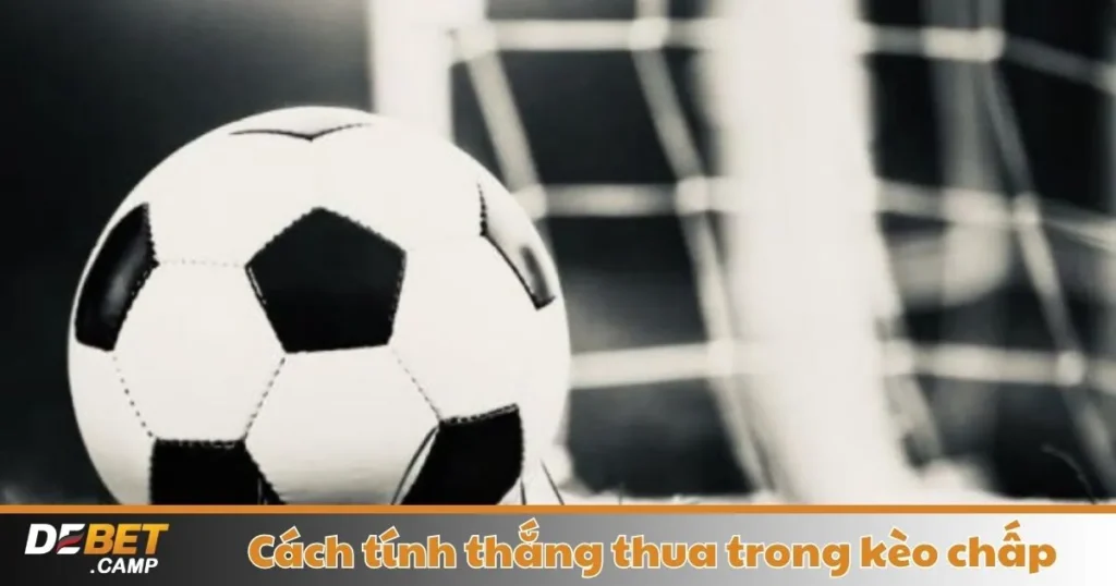 Cách Tính Thắng Thua Trong Kèo Chấp – Hướng Dẫn Đặt Cược