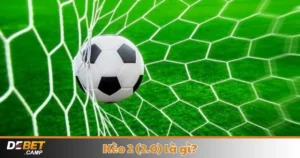 Kèo 2 (2.0) Là Gì? Cách Đọc Kèo & Mẹo Cá Cược Tại Debet